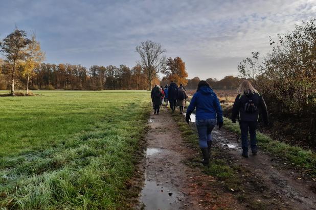 Wandelaars