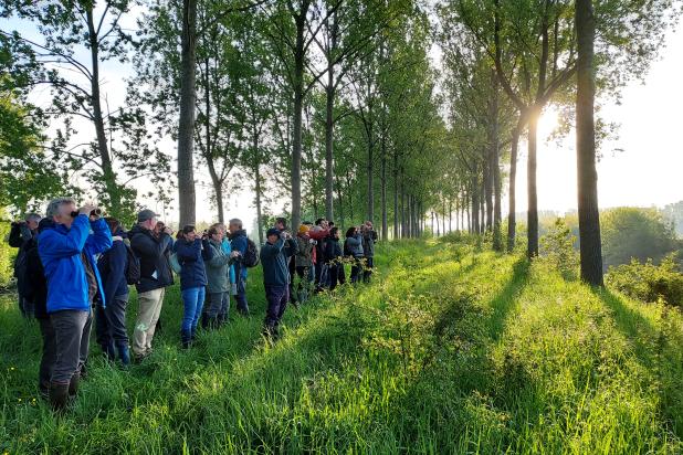Uitstap vogelcursus in de Melkader in Kallo