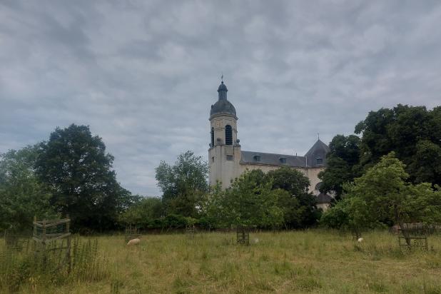 Vlierbeek