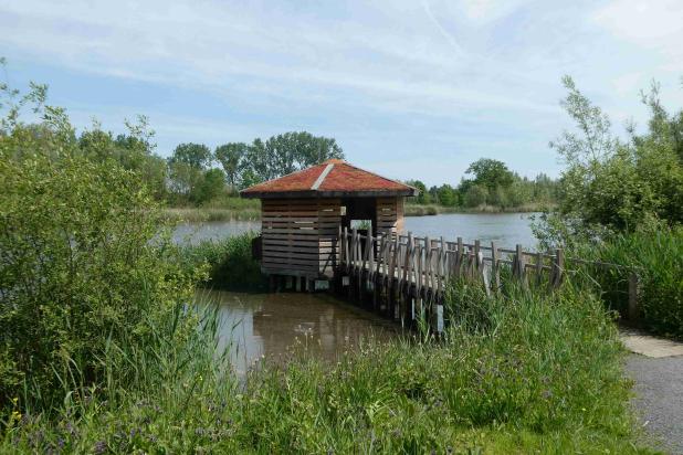 Jutse Plassen 002
