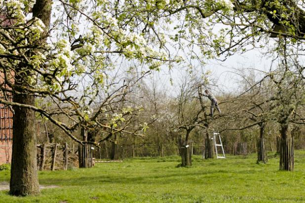 Natuur.huis Panneweel