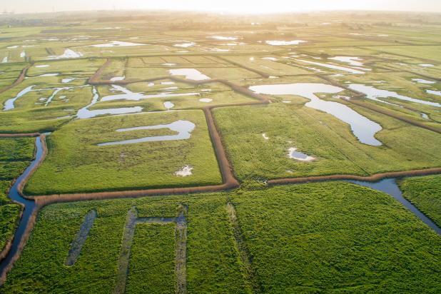 graslanden in de polders