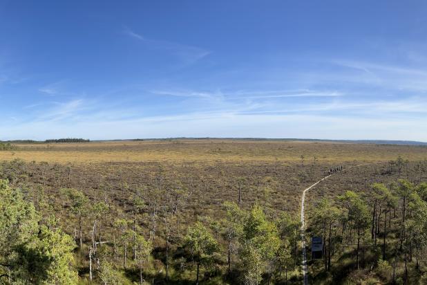 Panorama Hoogveen Store Mosse