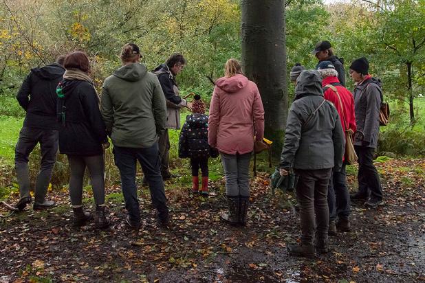 Paddenstoelenwandeling
