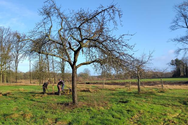 Beheerwerken Katershoeve Boomgaard , december 2024