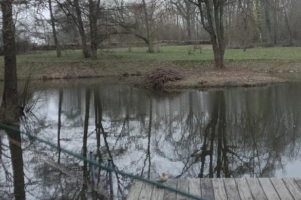 plaatsing schermen