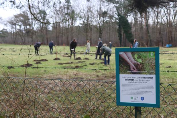 Aanplanting in Landschap De Liereman
