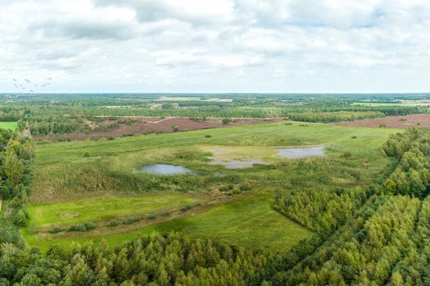 Toekomstbeeld Rode Goor
