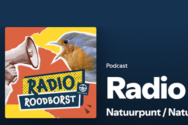 Podcast Radio Roodborst Radio Roodborst
