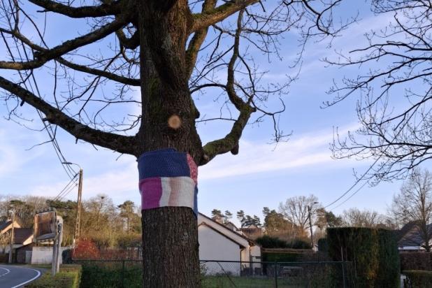 Knuffelboom