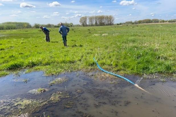 Plas-Dras pomp voor weidevogels