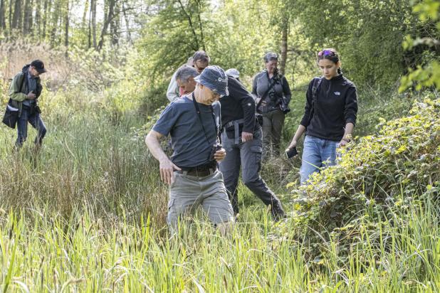 dagvlinderinventarisatie Sint-Jacobsgat