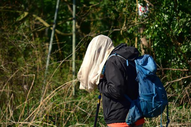 Wilde Bijen - cursus