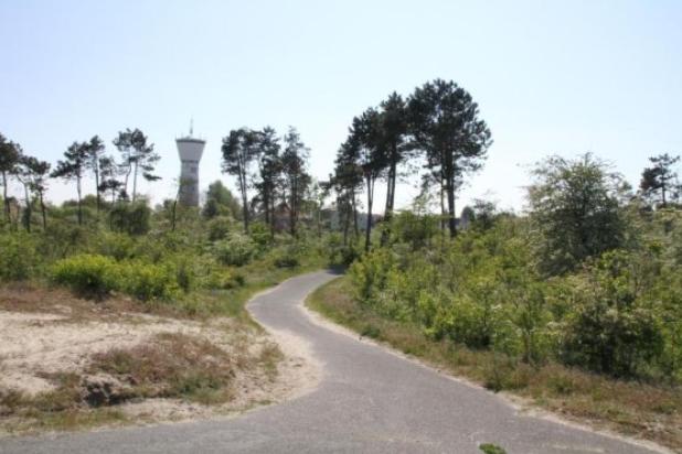 wandelpad in park 58