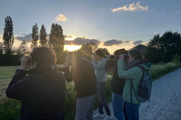 Vogelwandeling