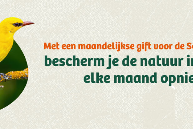 Steun de Scheldemeersen met een maandelijkse gift