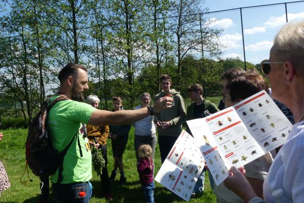 Infoblad met verschillende hommels