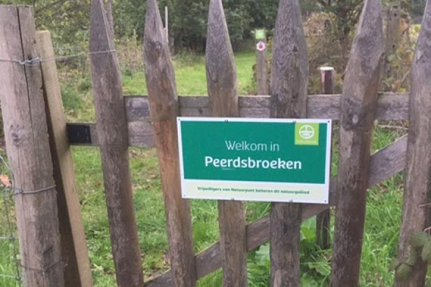Peerdsbroeken