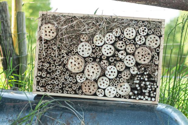 Insectenhotel