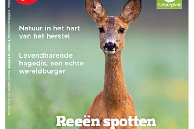 Natuur.blad 2020-2 - Zomer