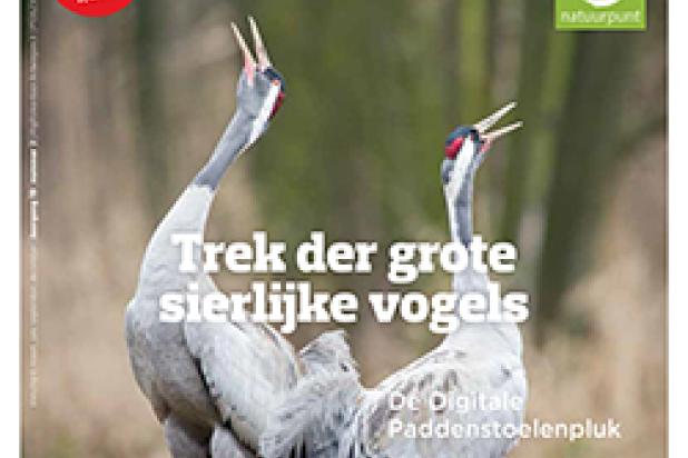 Natuur.blad Herfst 2020-3