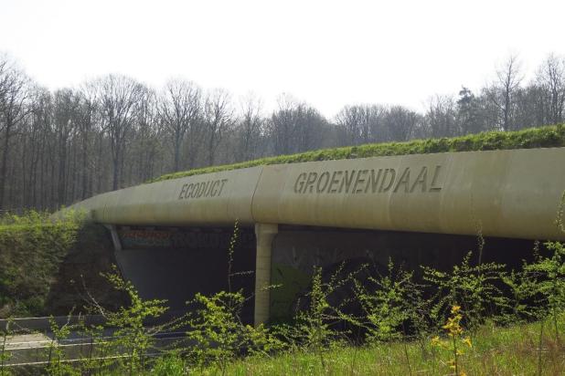 Ecoduct Groenendaal