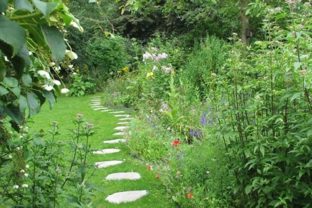tuin