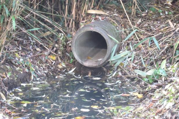 Lozing afvalwater in Broekelei