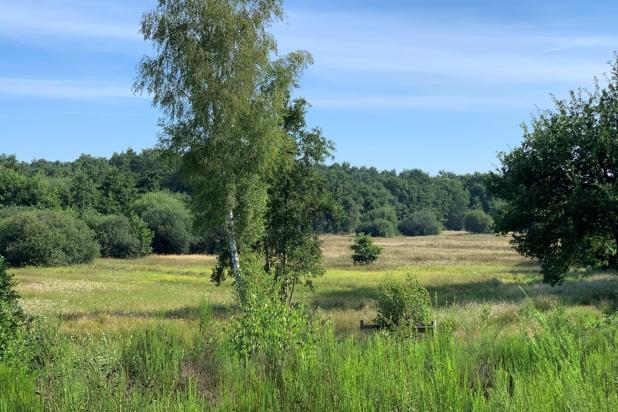 malesbroek_2.jpg