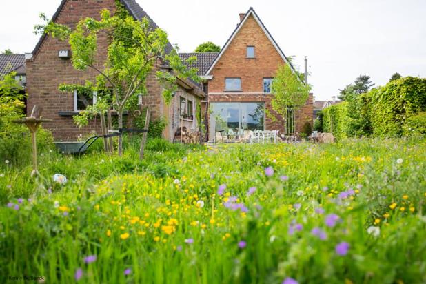 Natuurlijke tuin met hoger opgaande vegetatie 