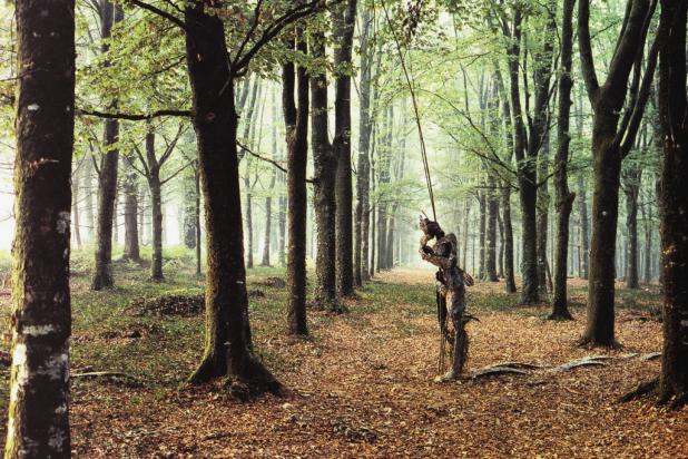 Penone - Arte povera