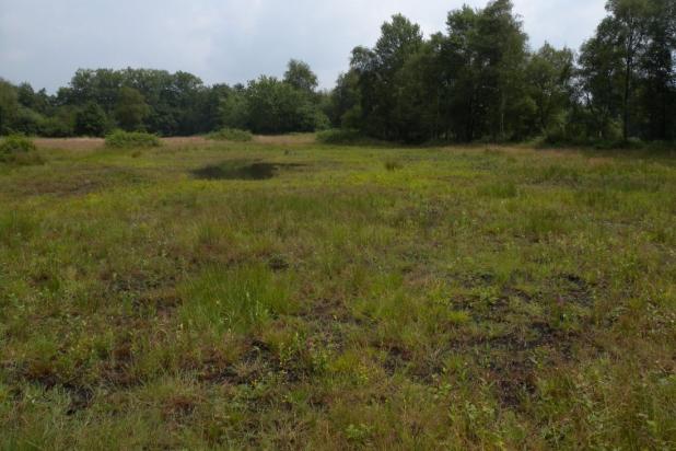 plagzone Parrenbroek