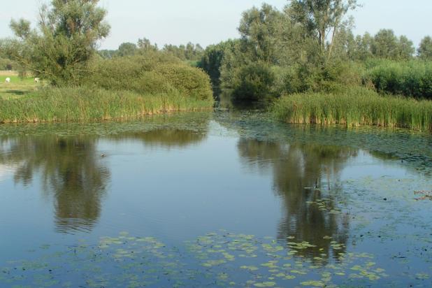 Saleghem Krekengebied