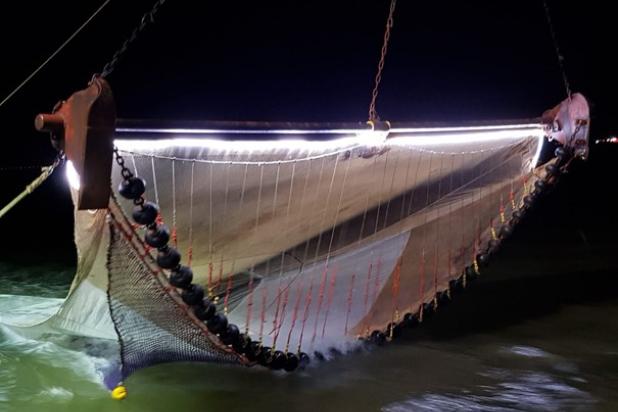 LED licht op bovenpees WR9