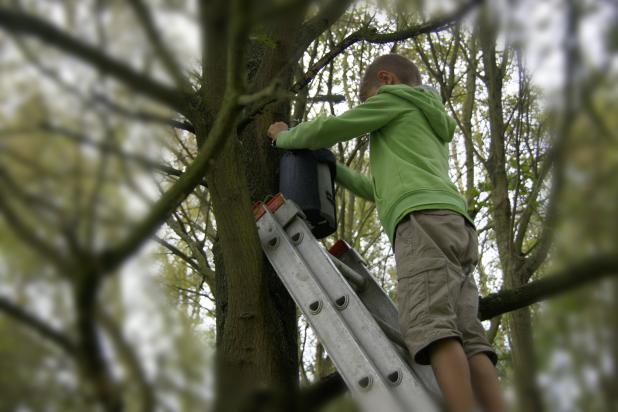 Kind hangt vleermuiskast in boom