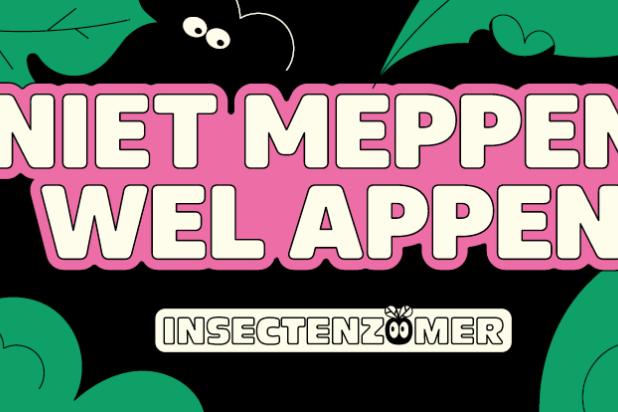 De Insectenzomer van Natuurpunt