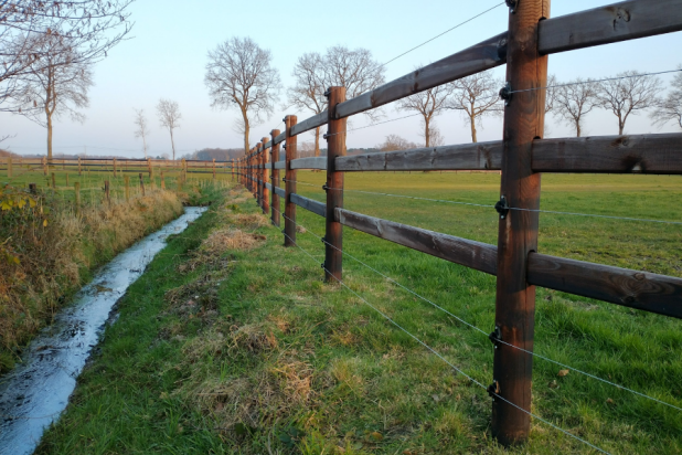 Wolf fencing