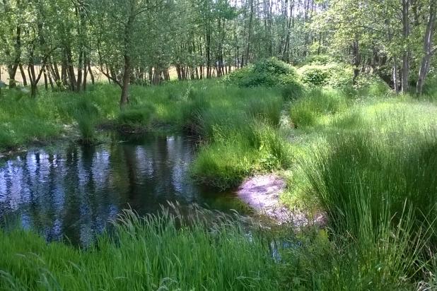 Prinsenveld