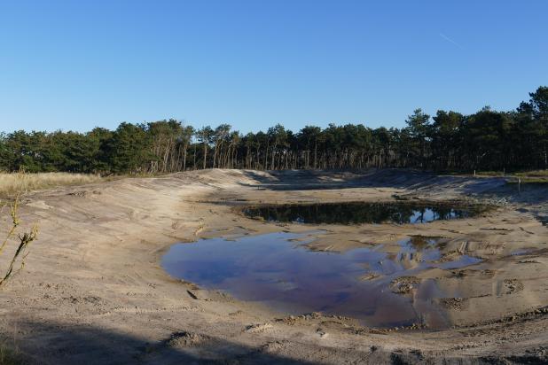 Zandpanne