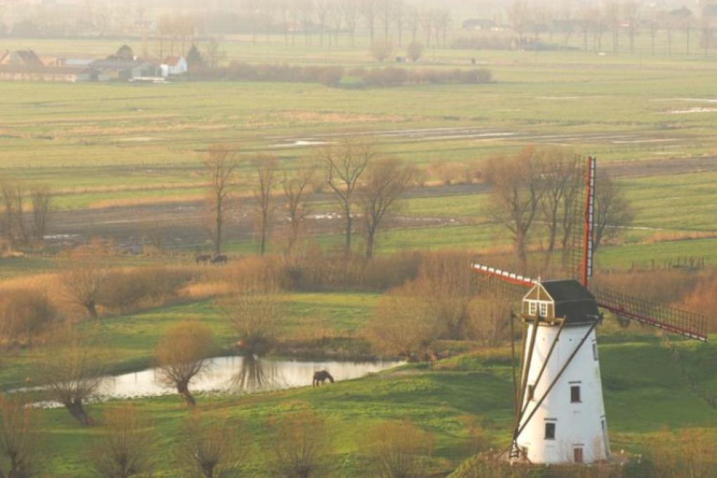Stadswallen - Damme - Vilda
