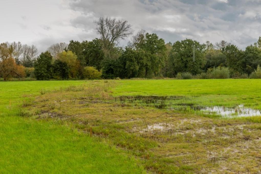 Vandevelde reservaat