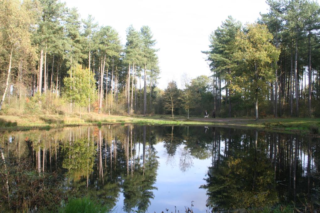 Gerheser Heide - Leopoldsburg - Oud Ven - Den Tus 