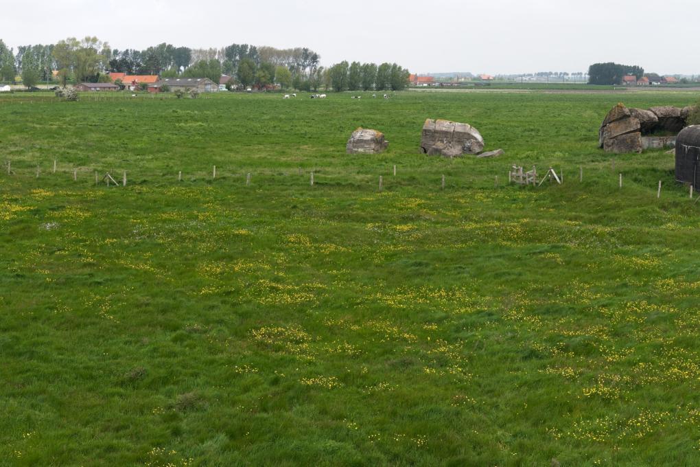 pano Schuddebeurze 1