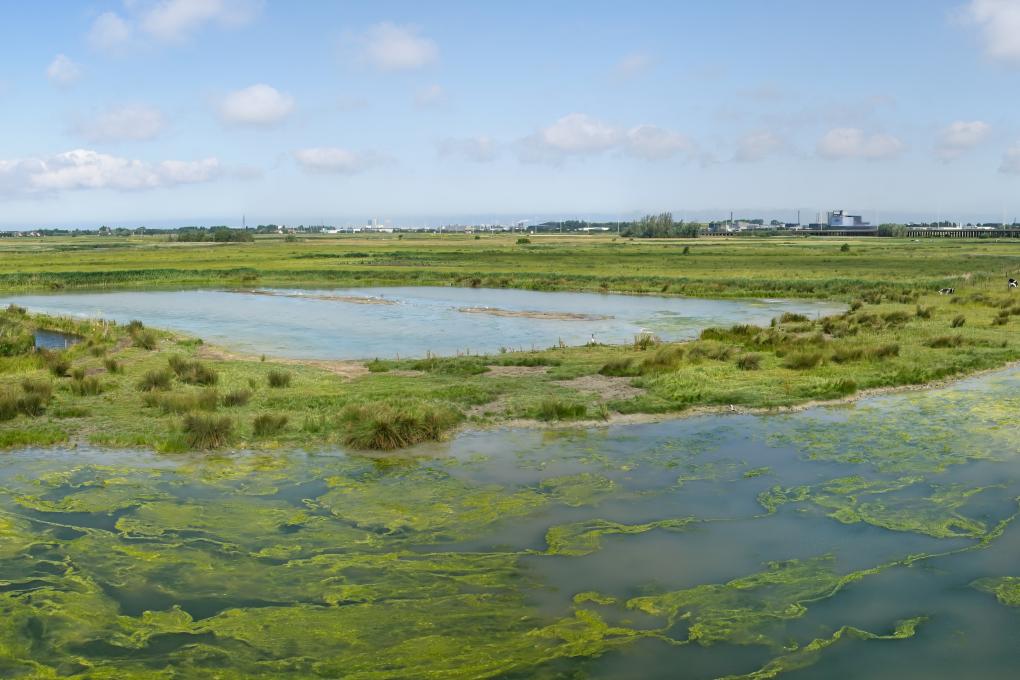 Panorama zwhk