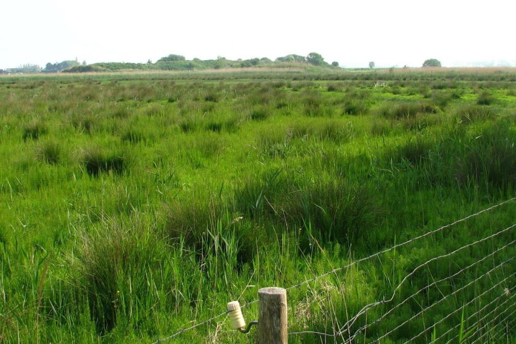 Panorama Puidebroeken
