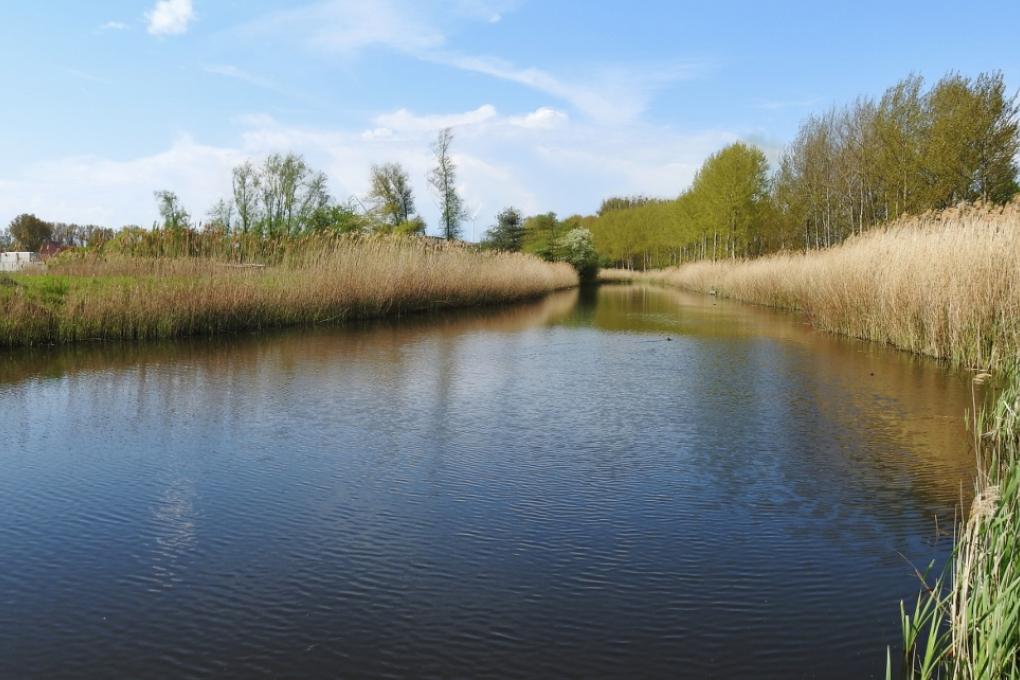 Oude Moervaartarm