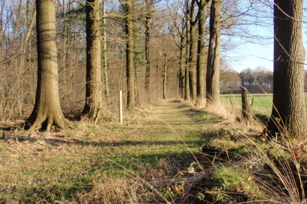 Waverwoud - Gasthuisbossen