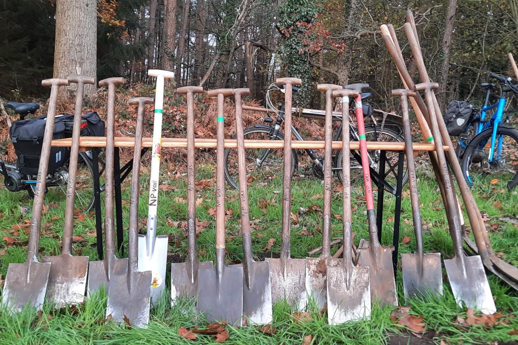 vorselaar-boomplantactie