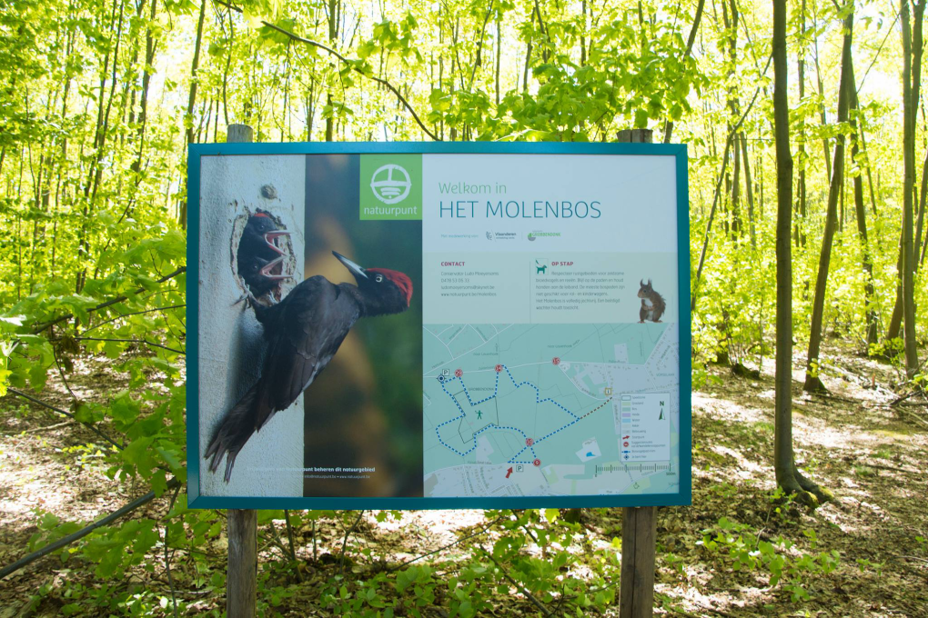 vorselaar-molenbos-opening