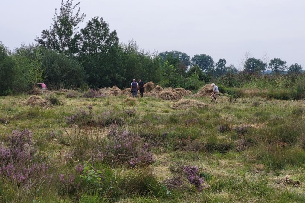 Hooien in het Kijkverdriet